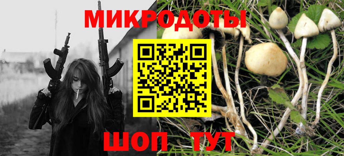 Псилоцибиновые грибы MAGIC MUSHROOMS  Вход с VPN  Зеленокумск 