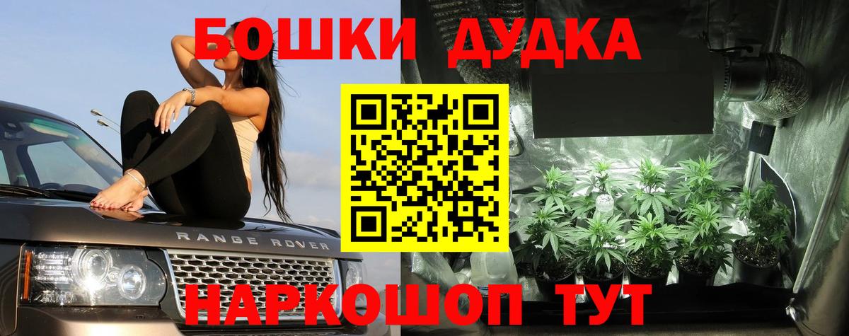 Зеленокумск  Канабис OG Kush  Конопля OG Kush  Вход с VPN 